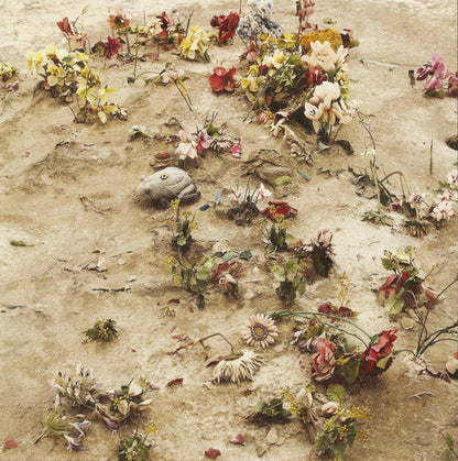 Manchester Orchestra / Minus The Bear – Continental Obscura: From Birmingham To Bellingham 7" Split (Sonic Blue/White Haze LE) - PRE-OWNED